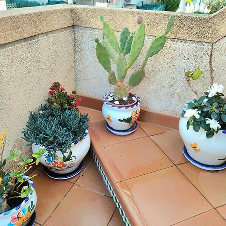 Casa De Buenos Dias Lejlighed Torrevieja Eksteriør billede