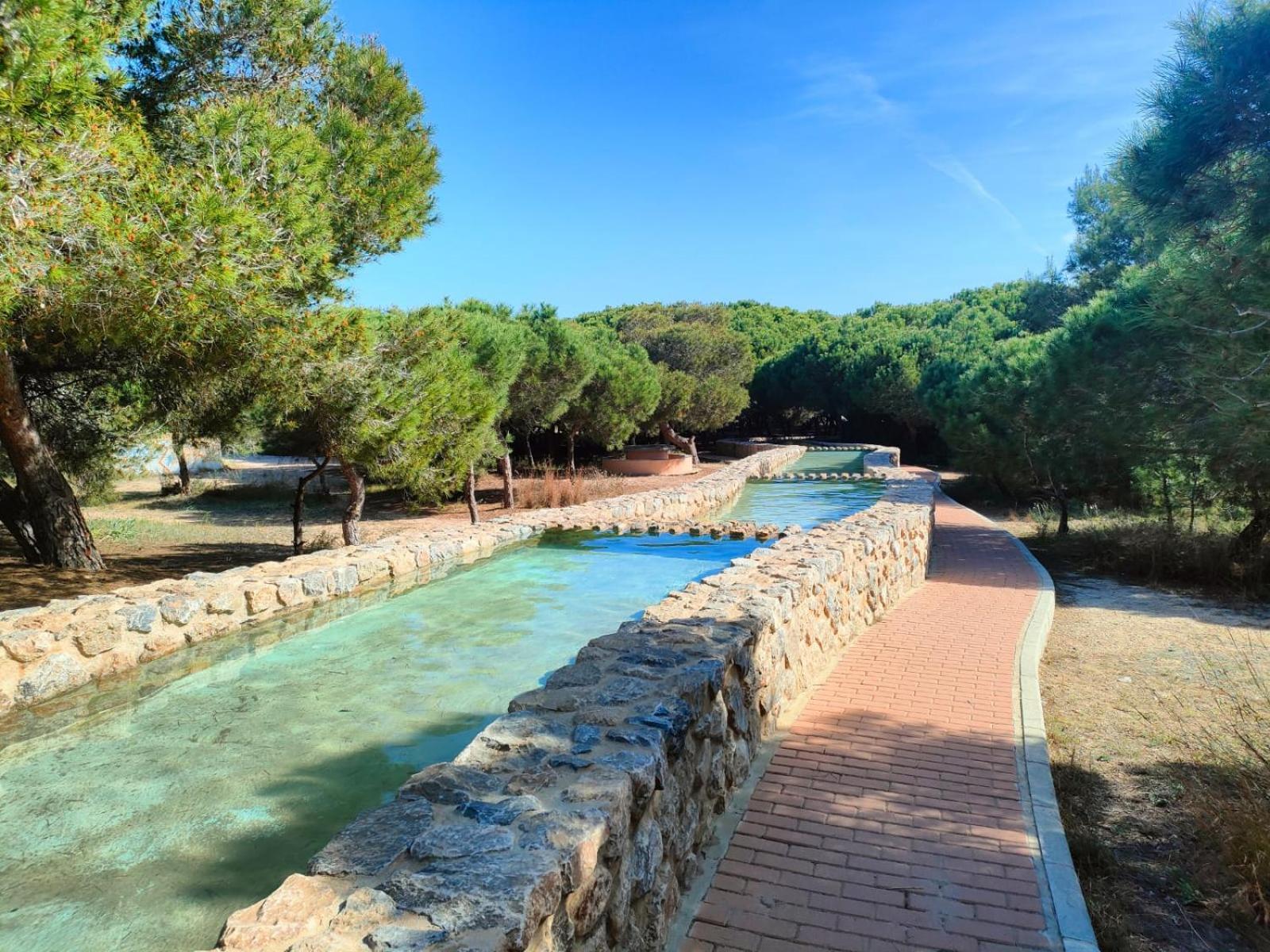 Casa De Buenos Dias Lejlighed Torrevieja Eksteriør billede