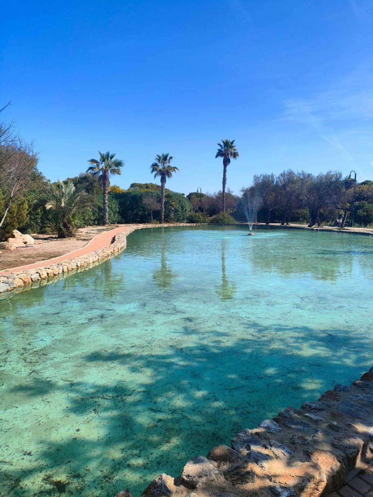 Casa De Buenos Dias Lejlighed Torrevieja Eksteriør billede