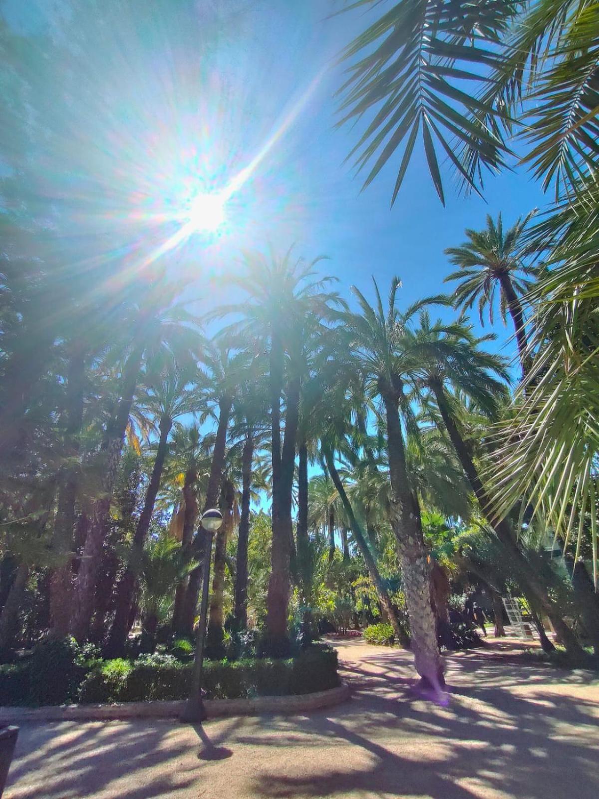 Casa De Buenos Dias Lejlighed Torrevieja Eksteriør billede