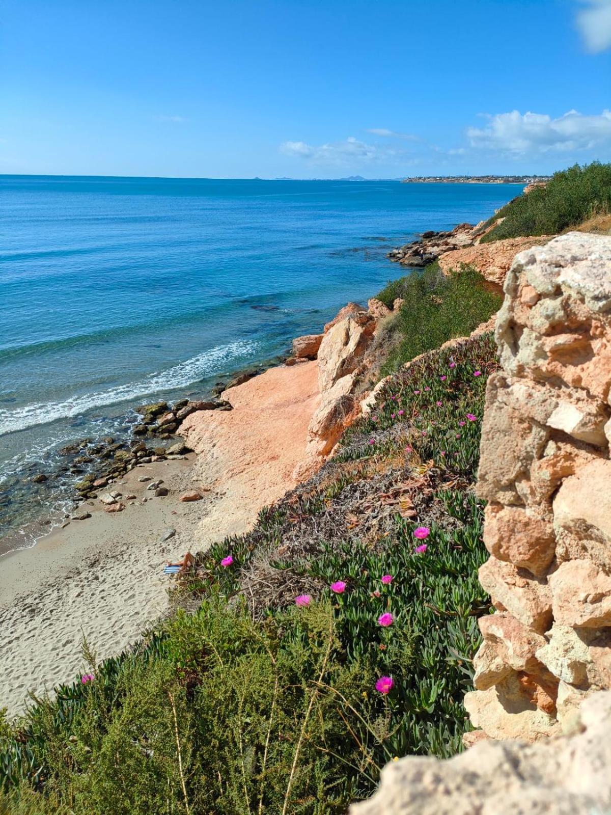 Casa De Buenos Dias Lejlighed Torrevieja Eksteriør billede