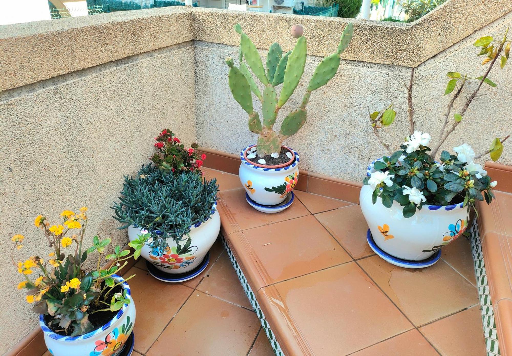 Casa De Buenos Dias Lejlighed Torrevieja Eksteriør billede